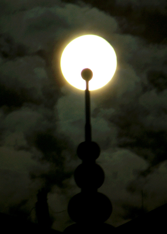 DSC07776.jpg