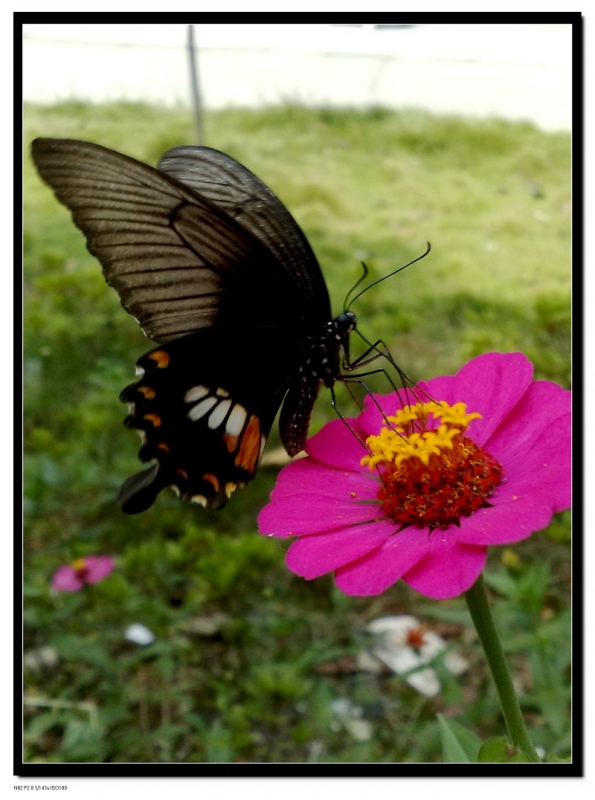 20090926092rtf.jpg