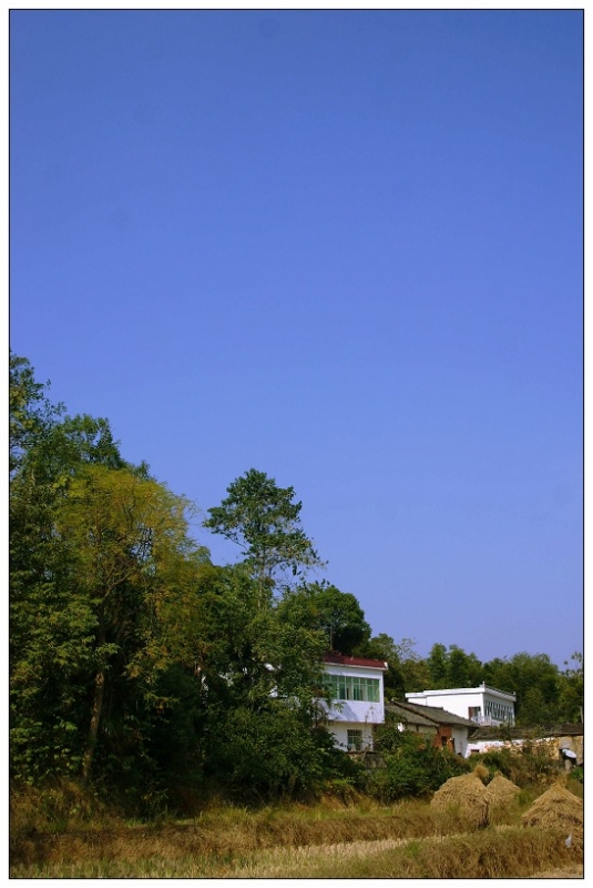 DSC09647.jpg