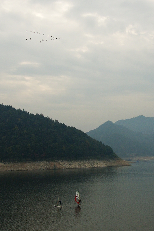 DSC09990.jpg