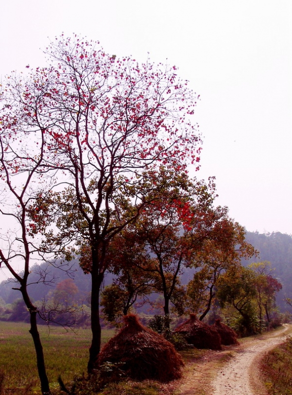 100_4041.jpg