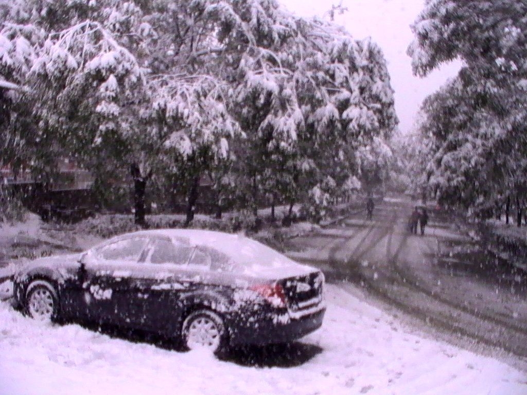 很少能看到这么大的雪了！.jpg