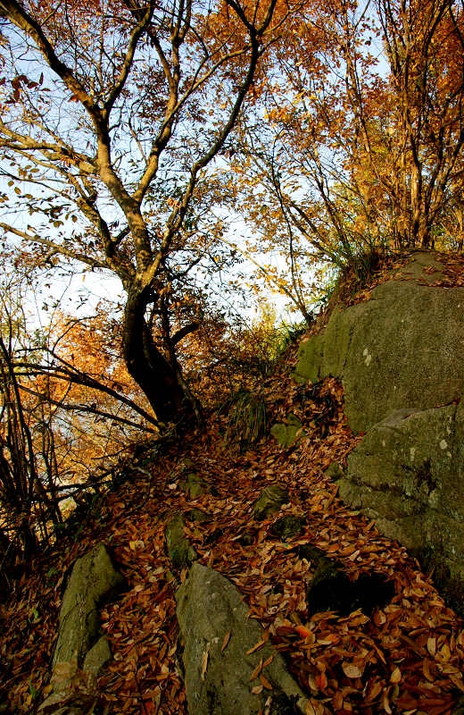 DSC02943.jpg