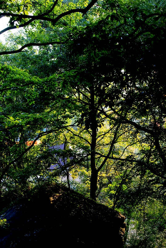 DSC03021.jpg