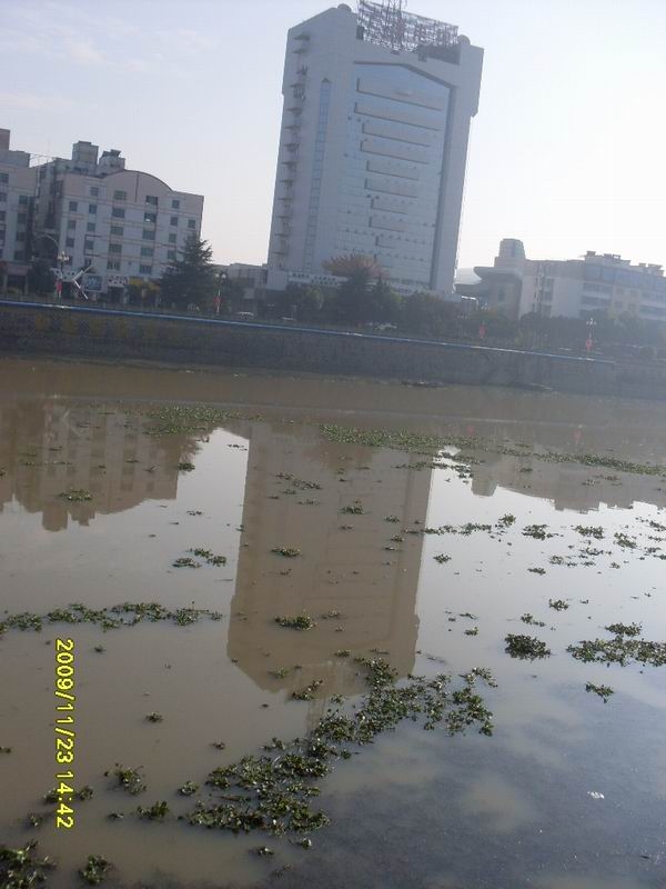 SDC13835.JPG