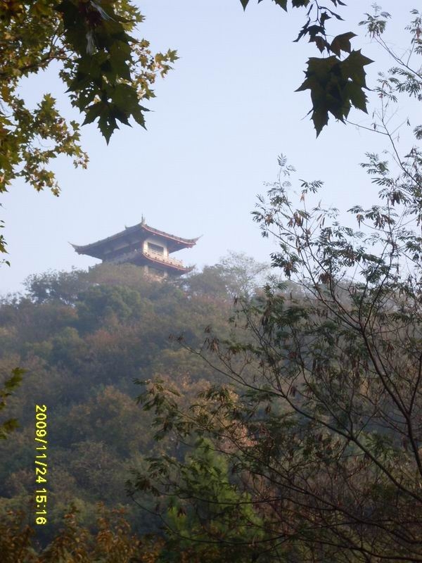 SDC13953.JPG