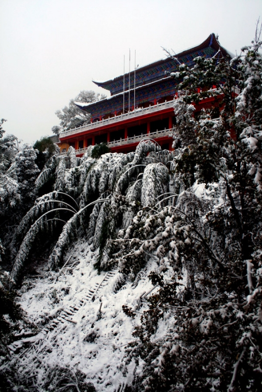 IMG_3008副本.jpg
