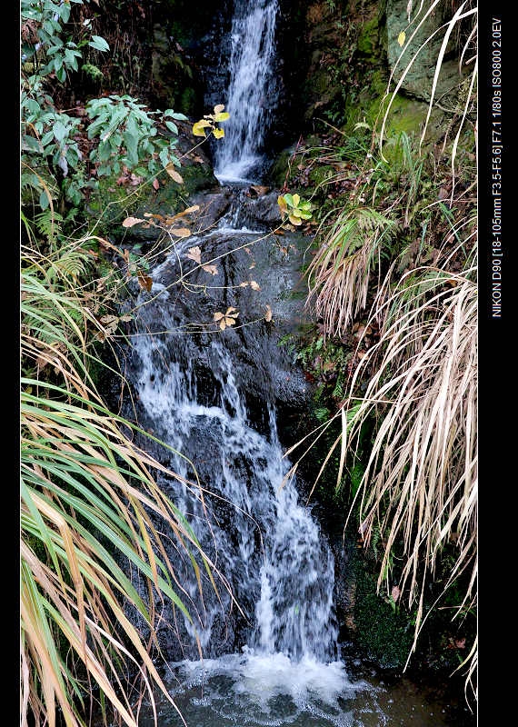 DSC_2760 (78).jpg