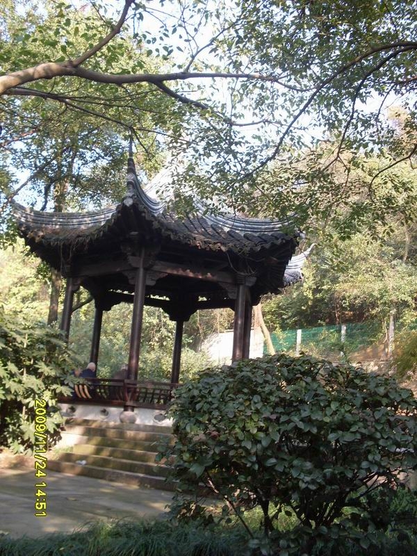 SDC13921.JPG