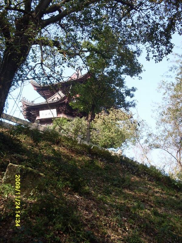 SDC13909.JPG